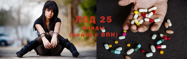 PSILOCYBIN Аркадак