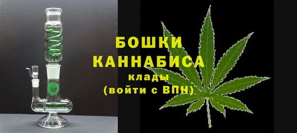 PSILOCYBIN Аркадак