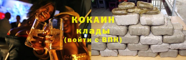 трава Инта