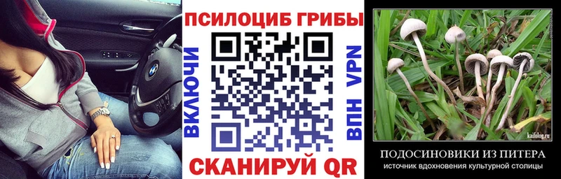 Галлюциногенные грибы ЛСД Баксан
