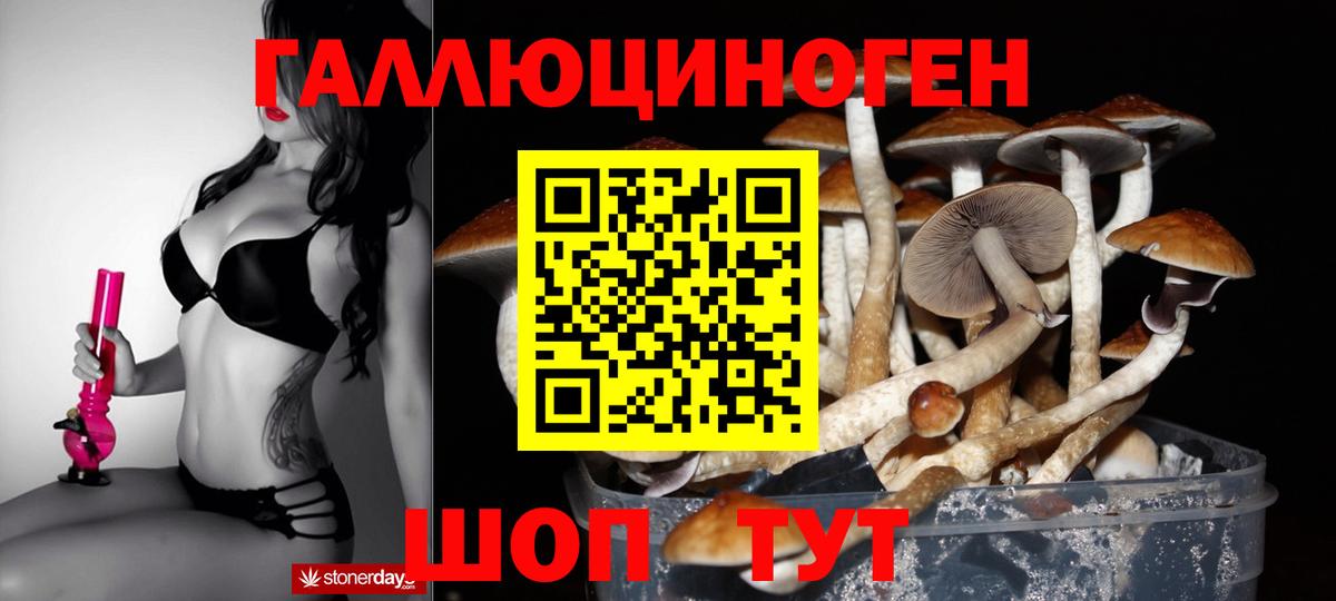 Псилоцибиновые грибы GOLDEN TEACHER Баксан