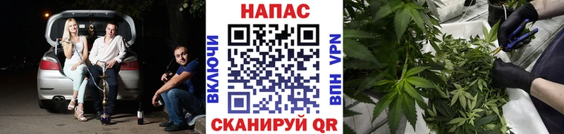купить закладку  Баксан  Каннабис конопля 